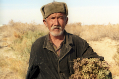 Wüste Aralkum