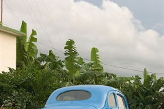 Jagüey Grande