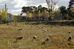 Elstal