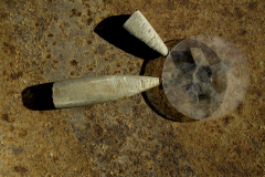 Hommage a'Brancusi