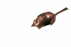 Iron Mouse / Eiserne Maus / Железная мышь