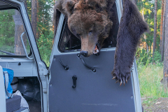 Zwischen Irkutsk und Tajschet. Oblast Irkutsk